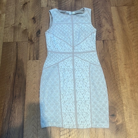Maggy London Woman’s Lace Dress Size 6 - Picture 1 of 6